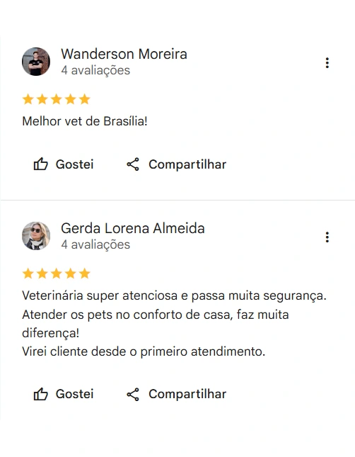Avaliações 5 estrelas no Google sobre a Dra. Bárbara Borges