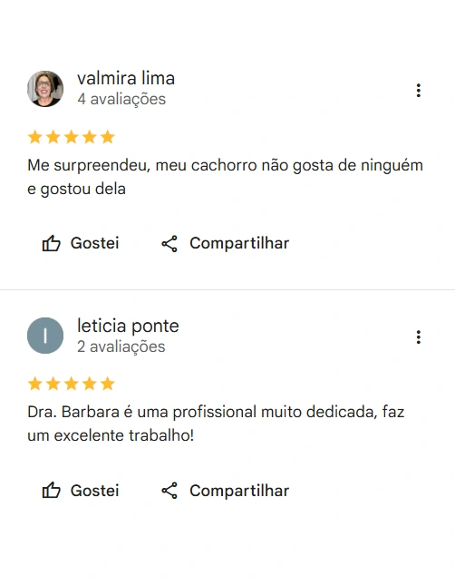 Avaliações 5 estrelas no Google sobre a Dra. Bárbara Borges