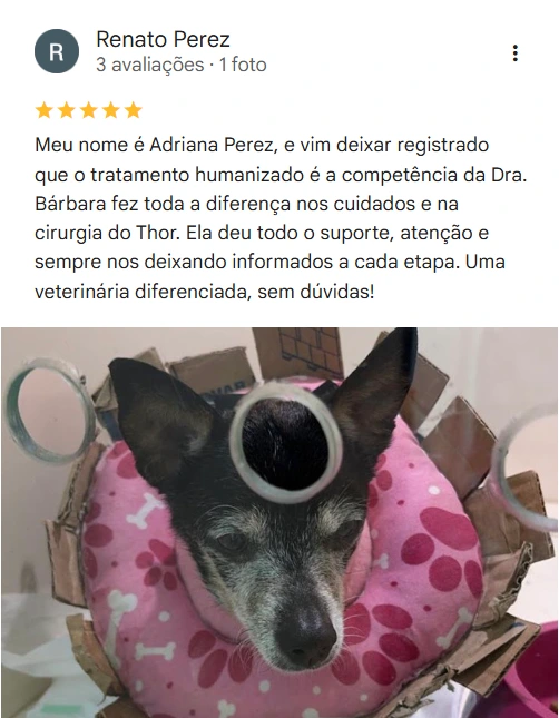 Avaliação 5 estrelas de Renato Perez no Google sobre a Dra. Bárbara Borges