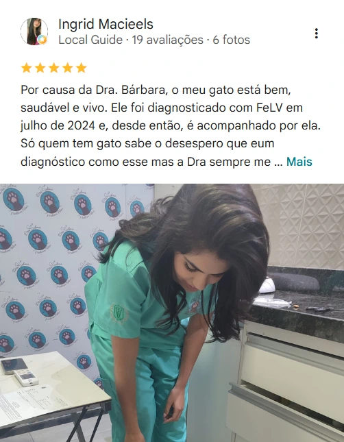 Avaliação 5 estrelas de Ingrid Macieels no Google sobre a Dra. Bárbara Borges