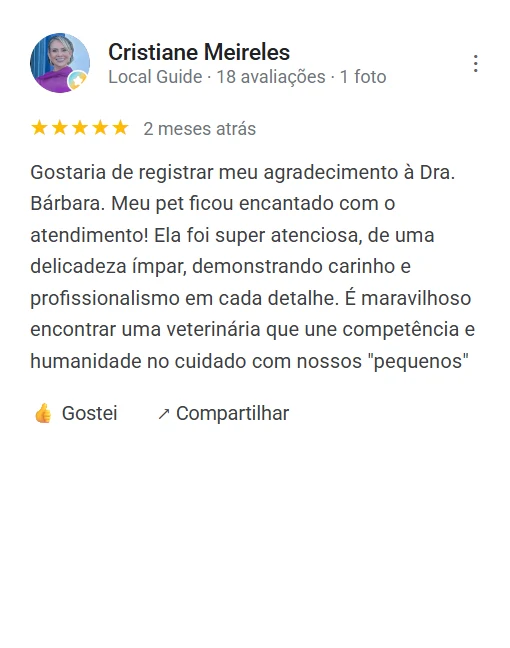 Avaliação 5 estrelas de Cristiane Meireles no Google sobre a Dra. Bárbara Borges