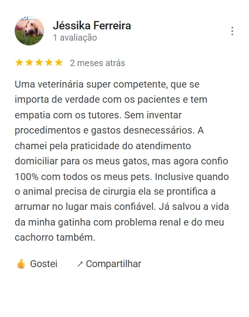 Avaliação 5 estrelas de Jéssika Ferreira no Google sobre a Dra. Bárbara Borges